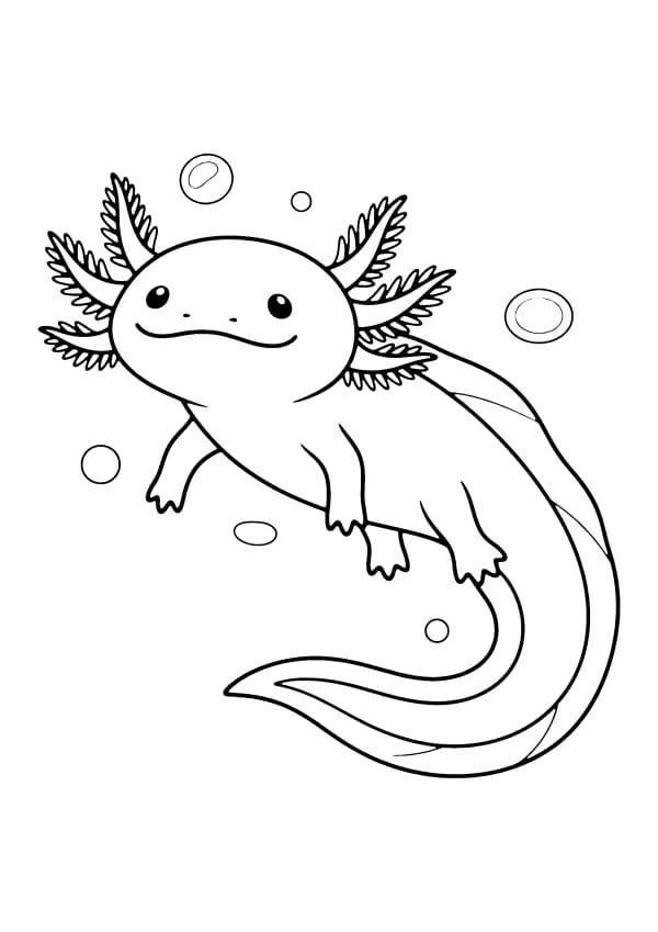 Axolotl coloring pages