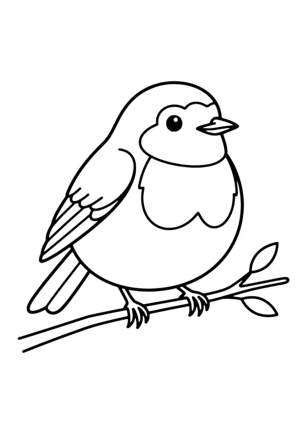 Bird coloring pages