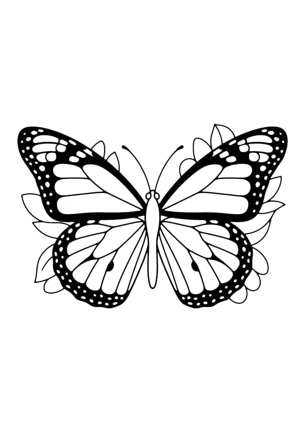 Butterfly coloring pages