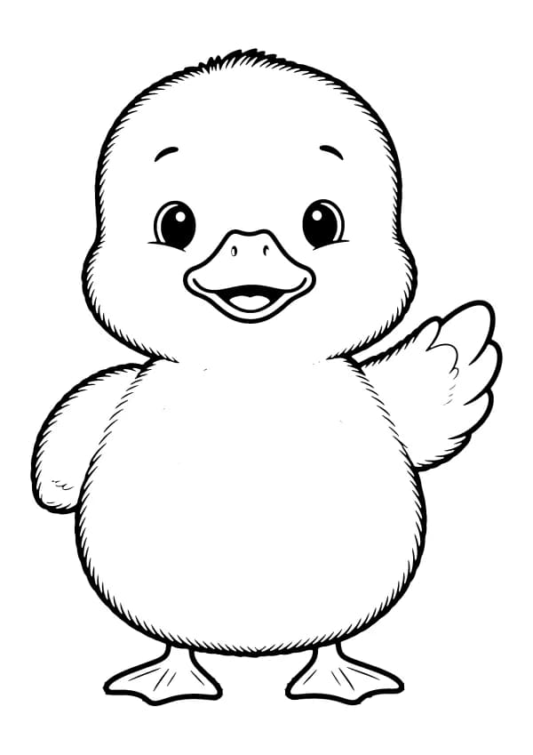 Duck coloring pages