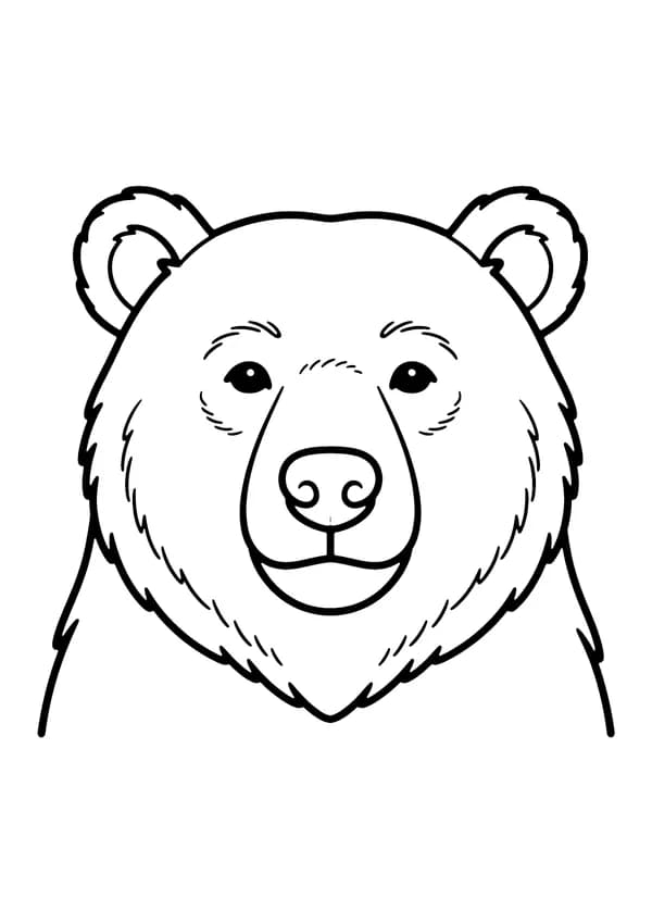 Printable hand-drawn Bear Face Close-Up coloring page