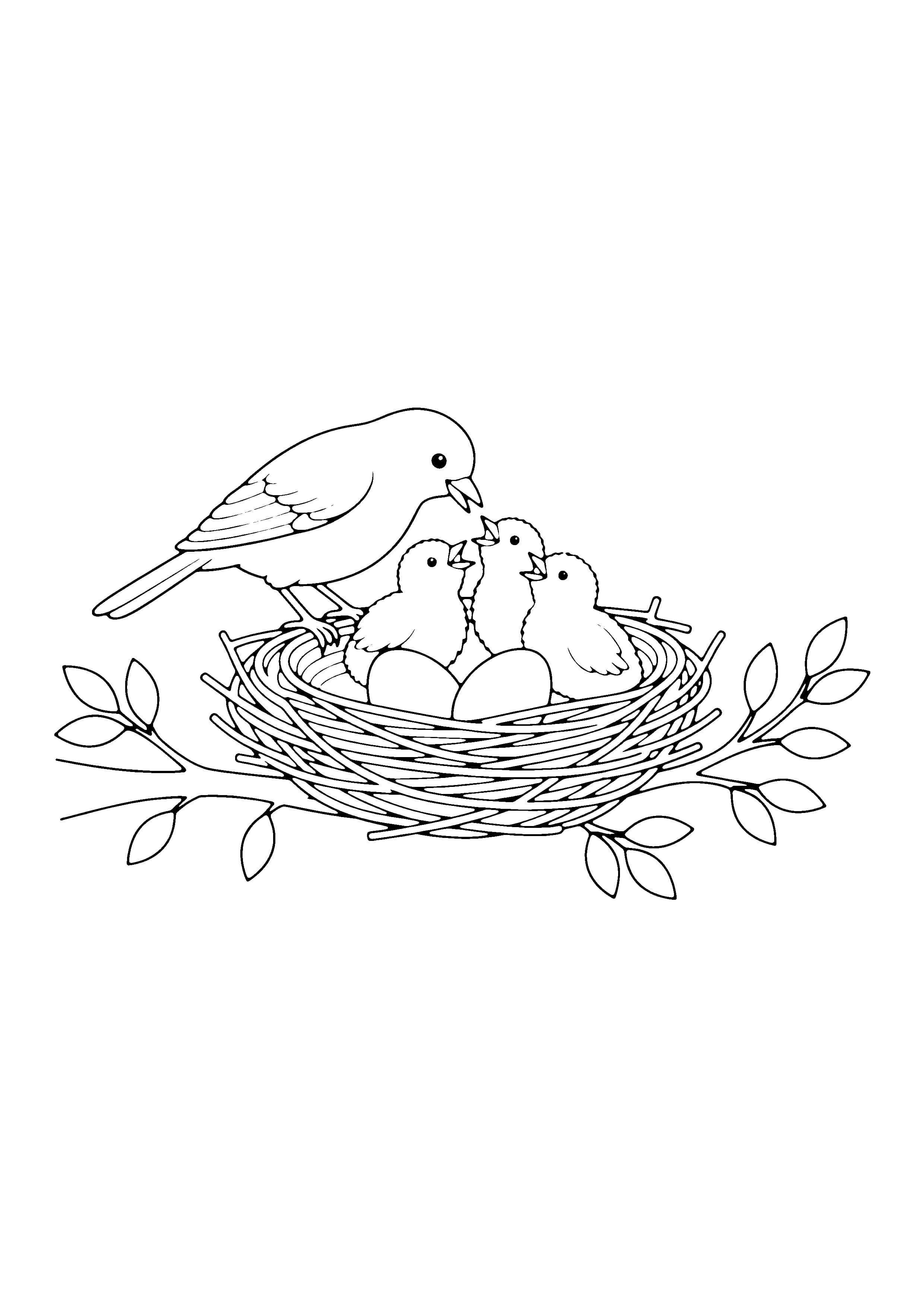 Printable hand-drawn Bird Family in a Nest coloring page