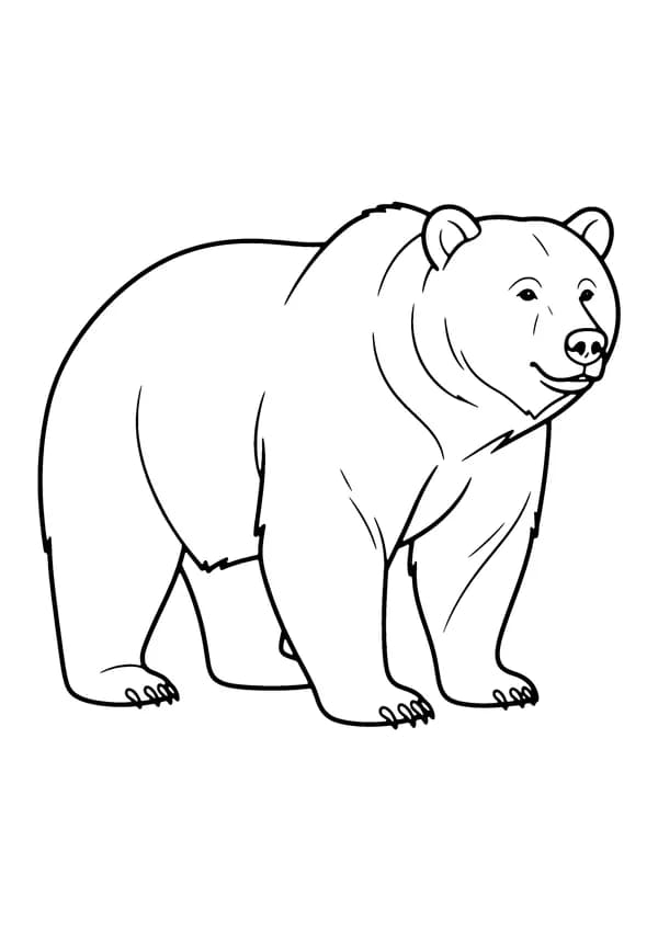 Printable hand-drawn Brown Grizzly Bear coloring page