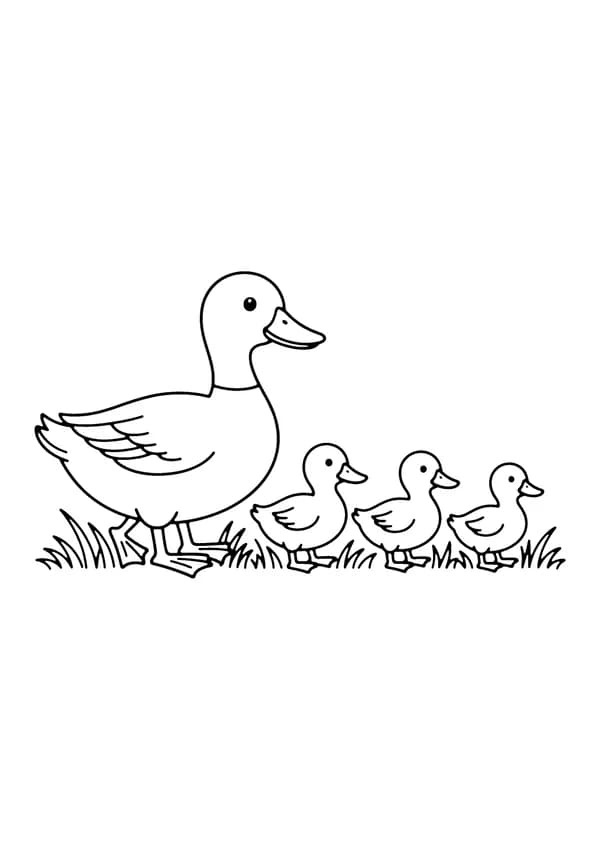 Printable hand-drawn Duck Family coloring page