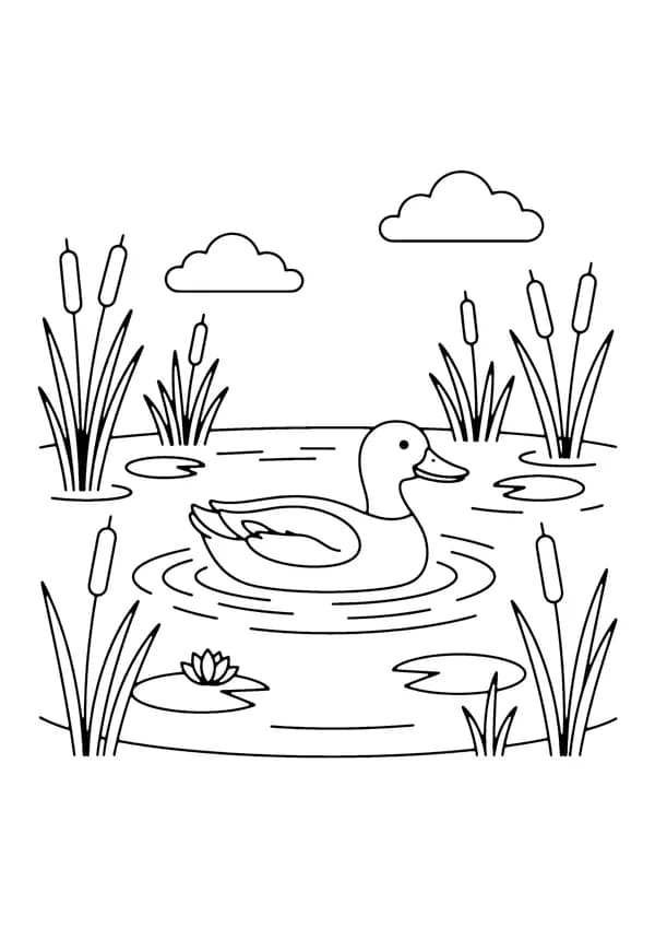 Printable hand-drawn Duck in the Pond coloring page