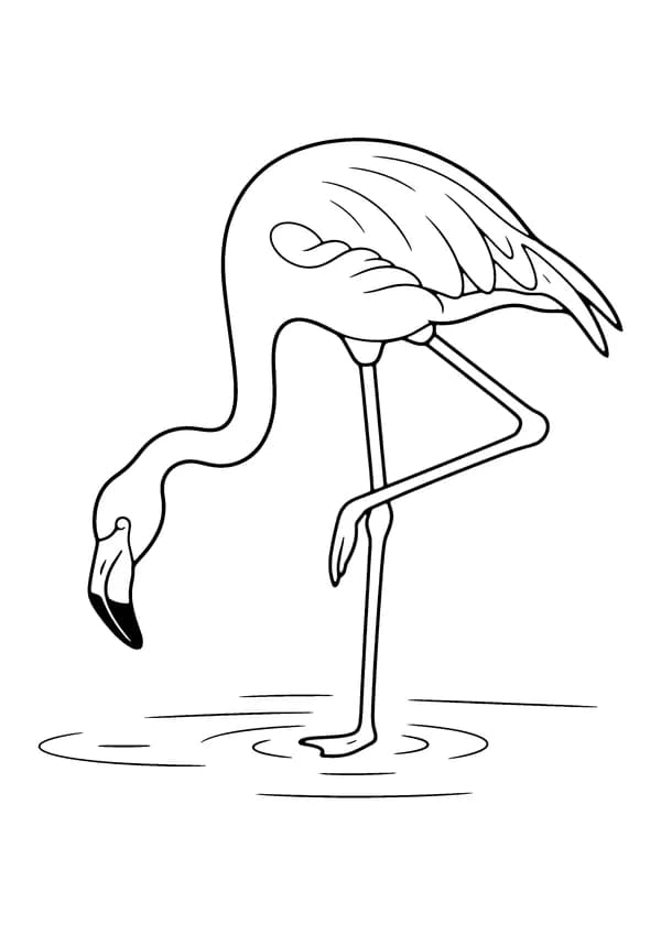 Printable hand-drawn Flamingo on One Leg coloring page