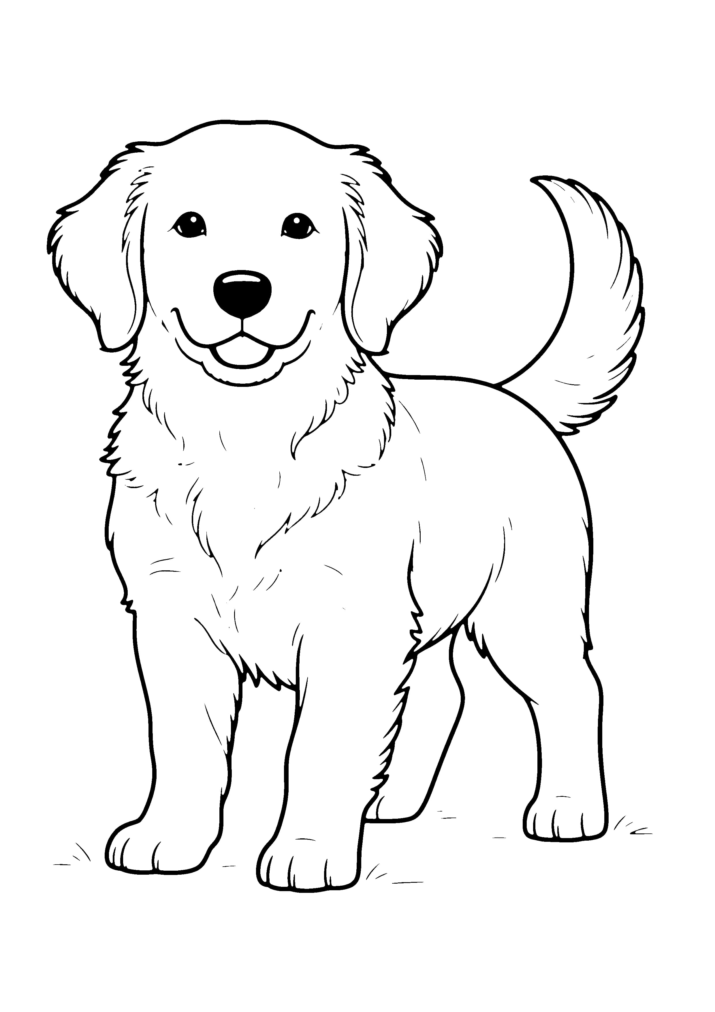 Printable hand-drawn Fluffy Golden Retriever Puppy coloring page