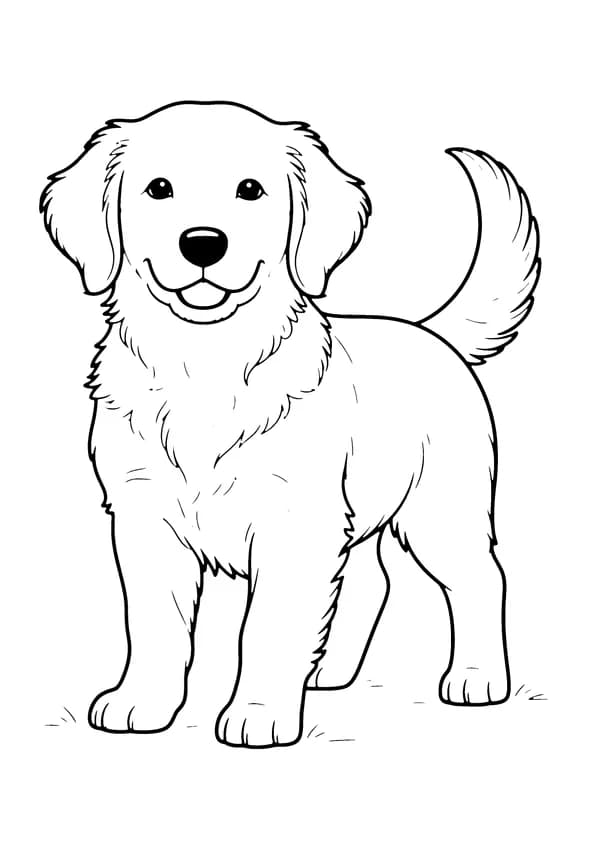 Printable hand-drawn Fluffy Golden Retriever Puppy coloring page