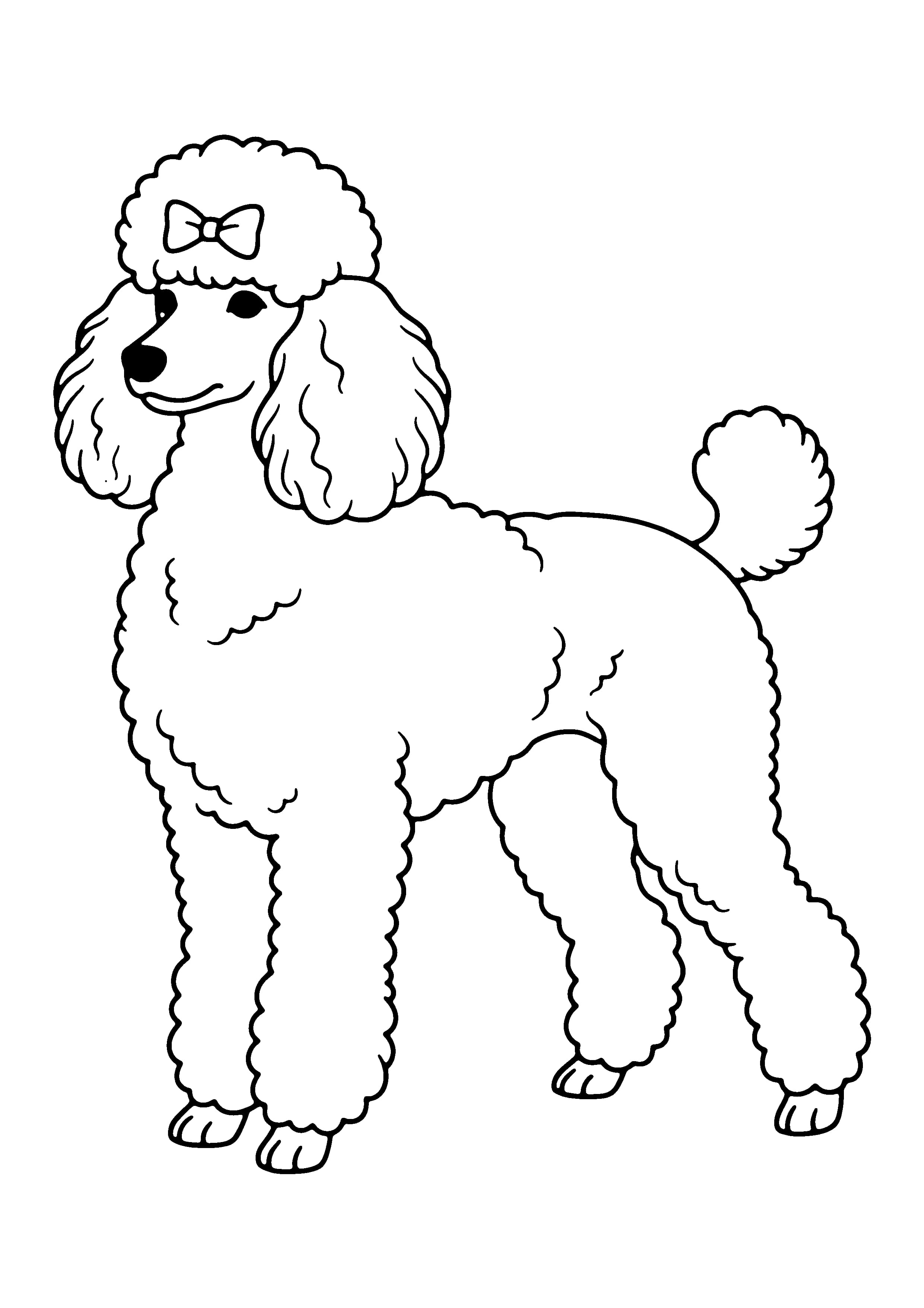 Printable hand-drawn Fluffy Poodle coloring page