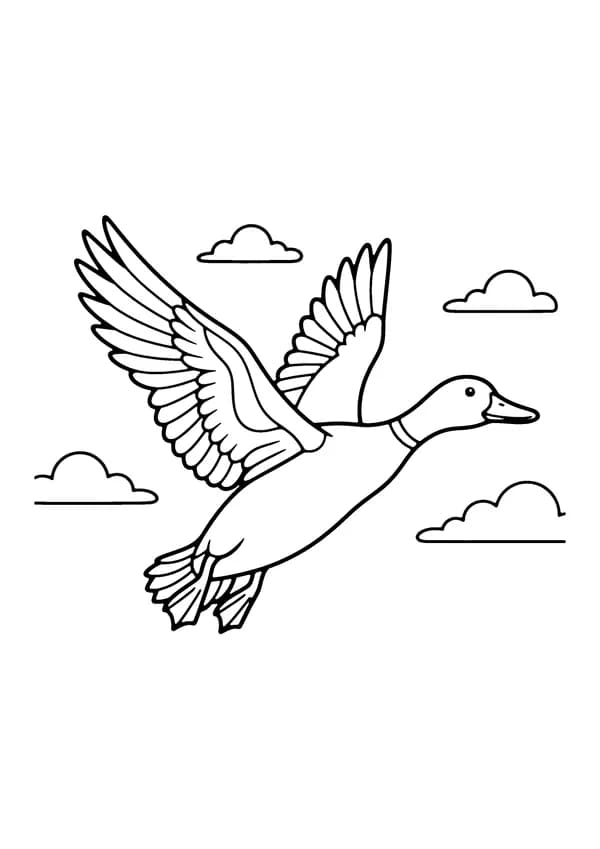 Printable hand-drawn Flying Duck coloring page