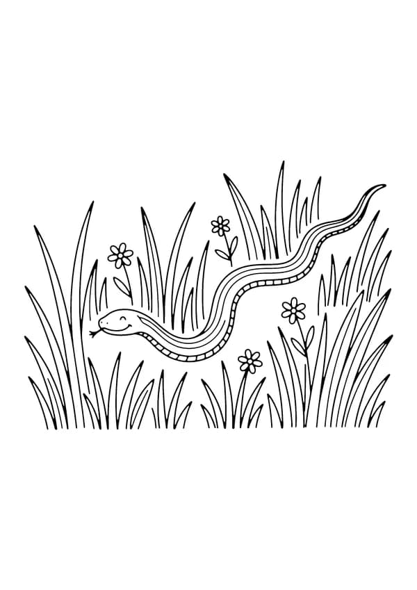 Printable hand-drawn Friendly Garden Snake coloring page