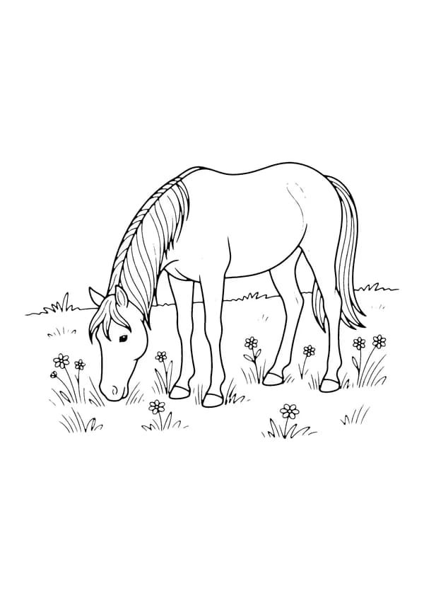 Printable hand-drawn Grazing Mare coloring page