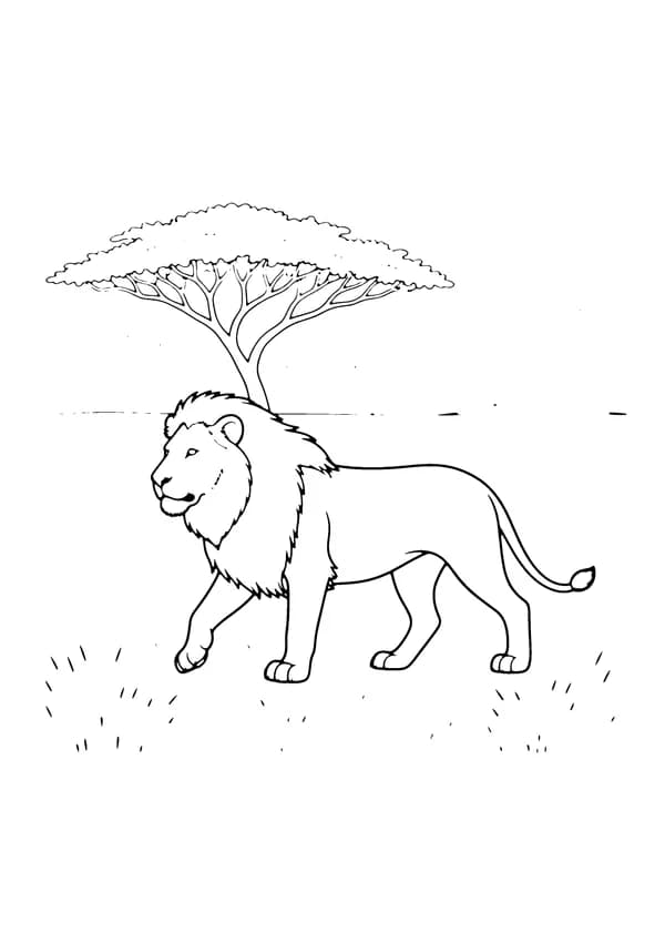 Printable hand-drawn Lion on the Savanna coloring page