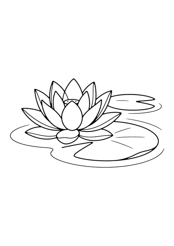 Printable hand-drawn Lotus Flower on Water coloring page