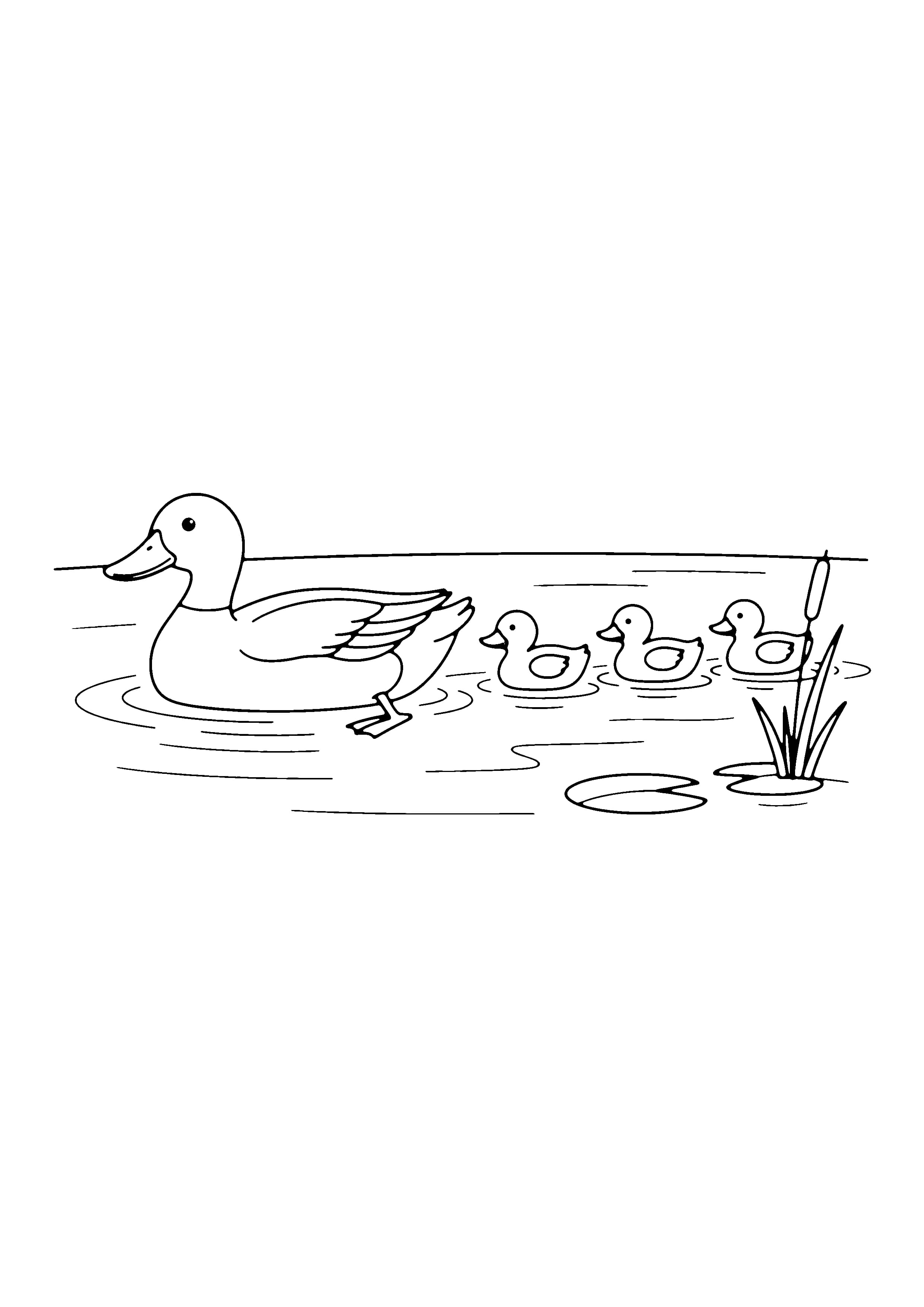 Printable hand-drawn Mama Duck and Ducklings on Water coloring page
