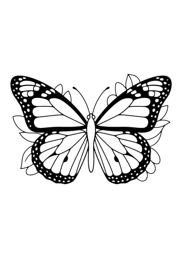 Printable hand-drawn Monarch Butterfly coloring page