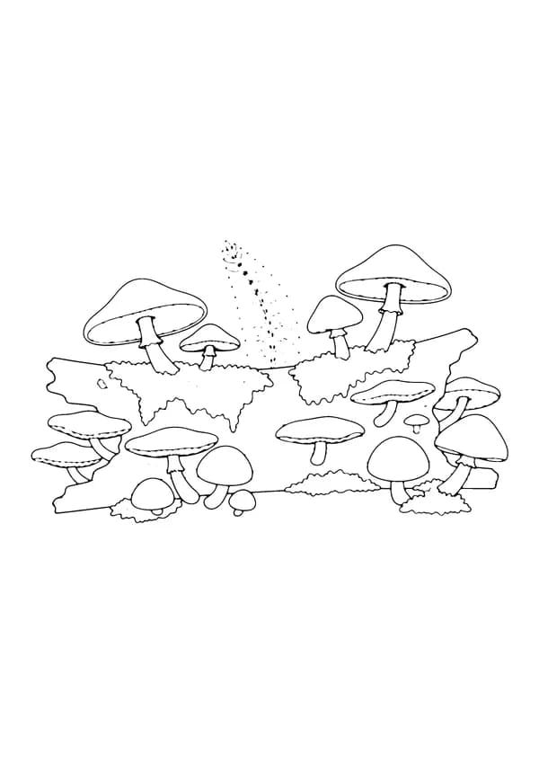 Printable hand-drawn Mushrooms on a Log coloring page