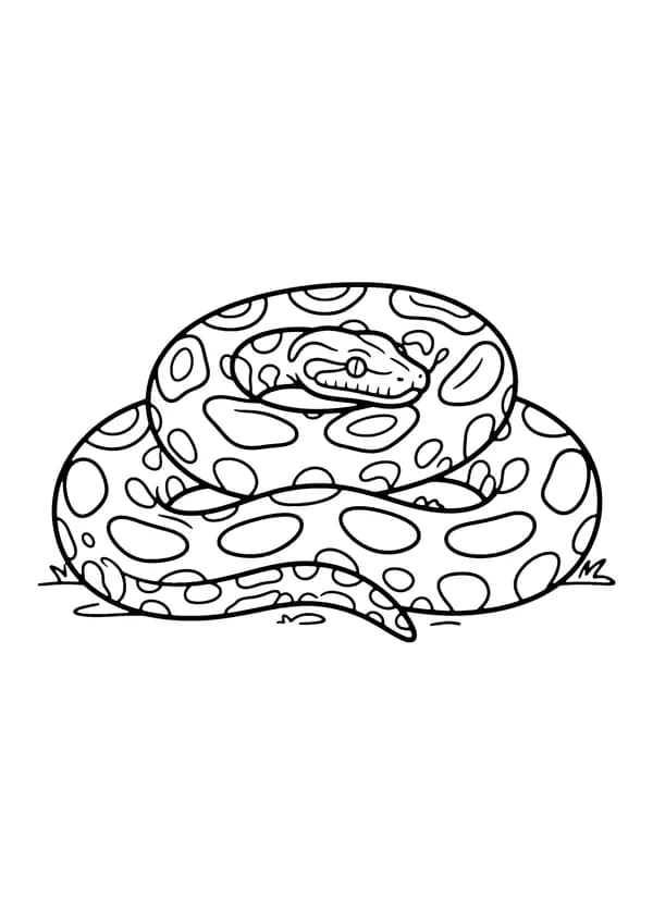 Printable hand-drawn Patterned Python coloring page