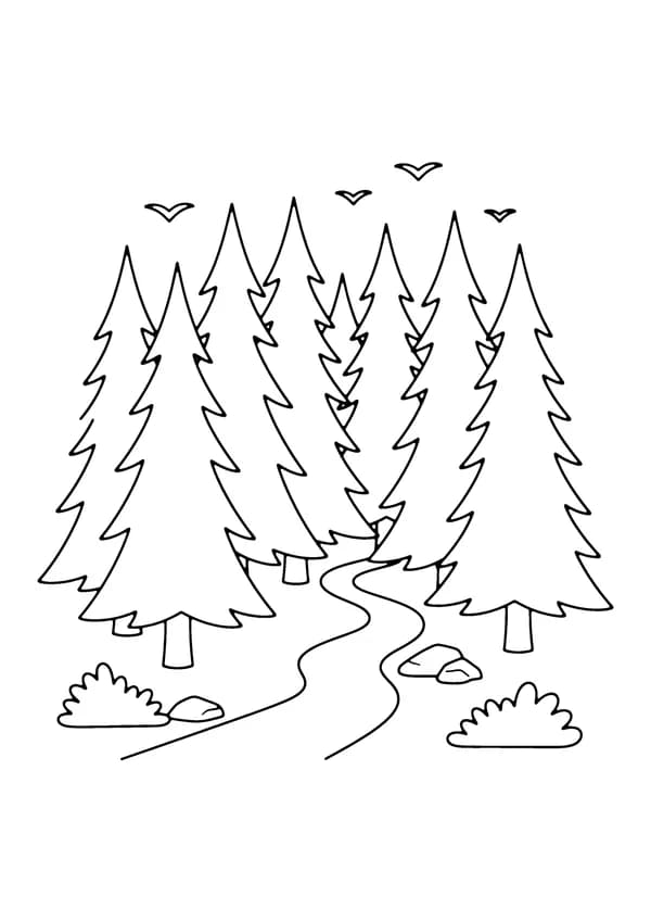 Printable hand-drawn Pine Forest coloring page