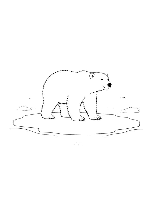 Printable hand-drawn Polar Bear on the Ice coloring page