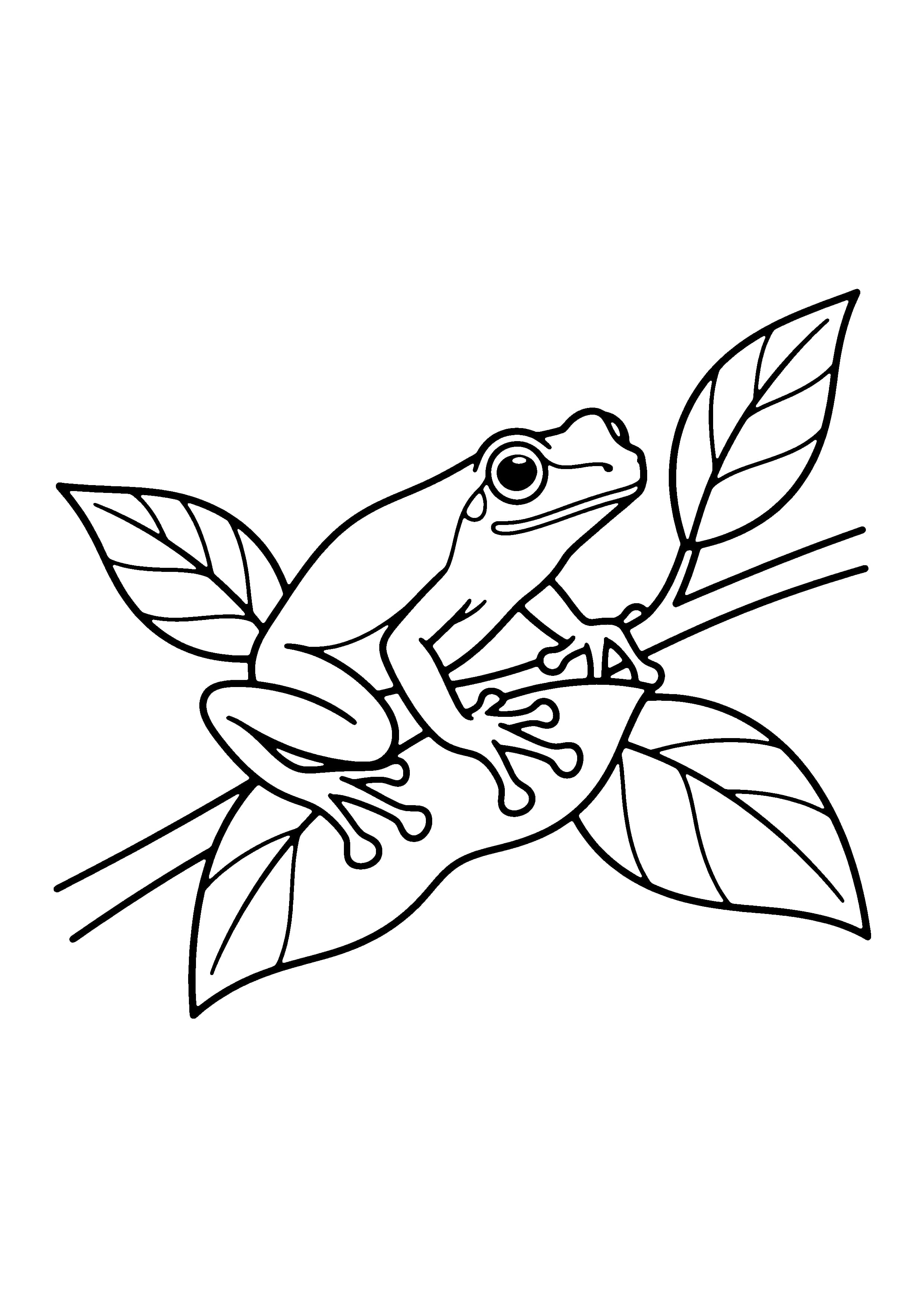 Printable hand-drawn Red-Eyed Tree Frog coloring page