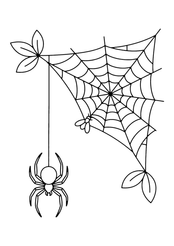 Printable hand-drawn Spider in a Web Corner coloring page