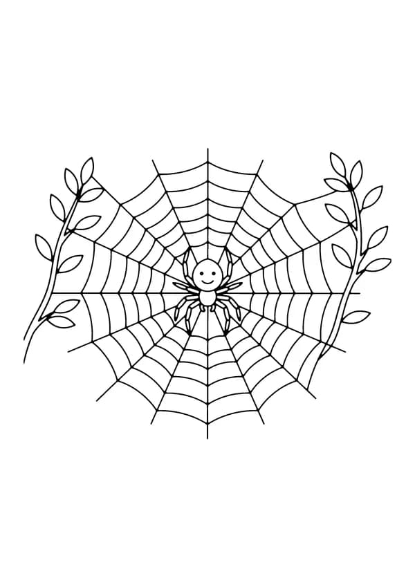 Printable hand-drawn Spider on a Web coloring page