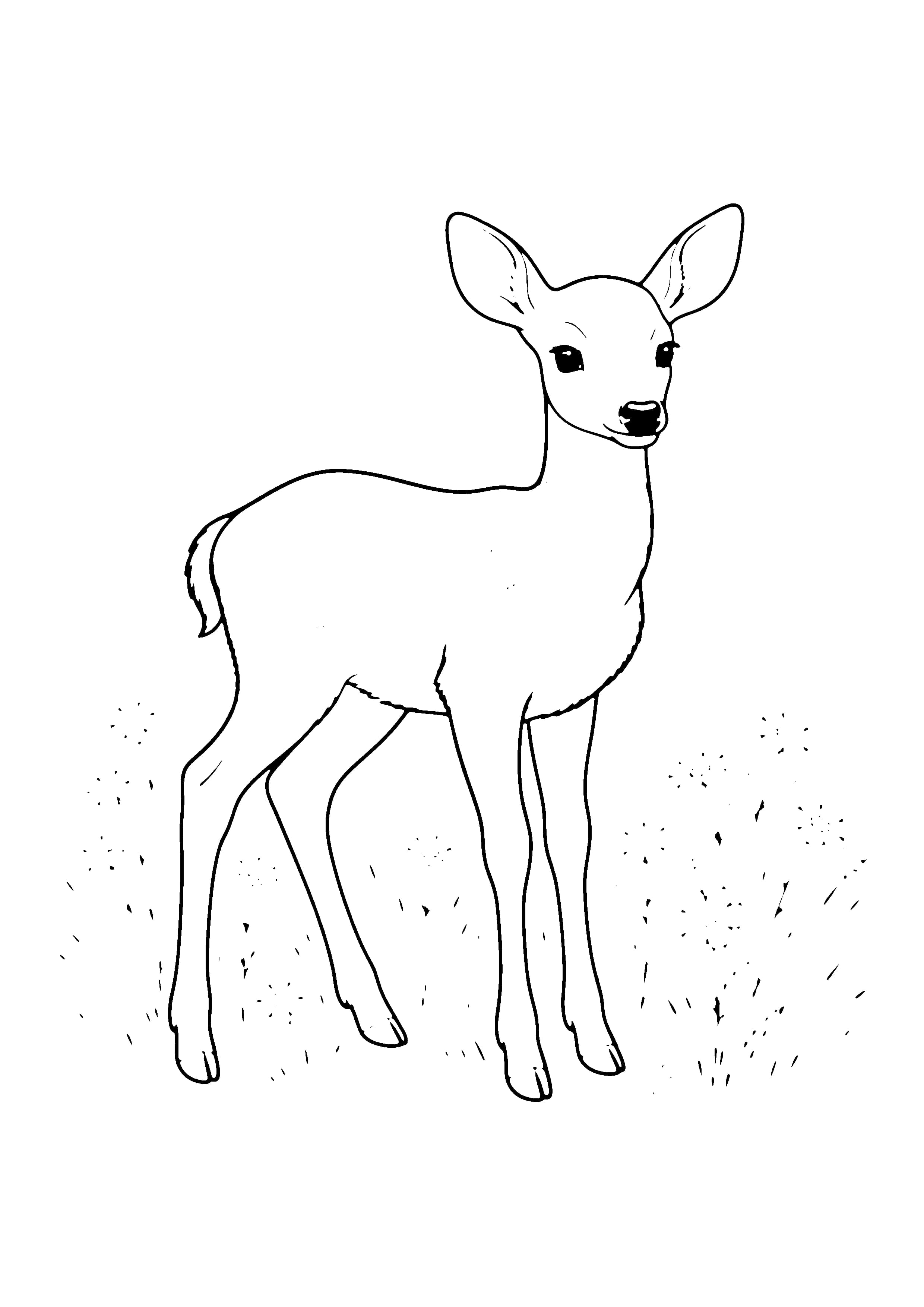Printable hand-drawn Spotted Fawn coloring page