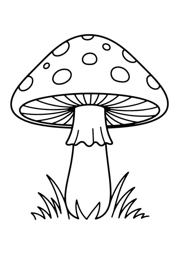 Printable hand-drawn Spotted Toadstool coloring page