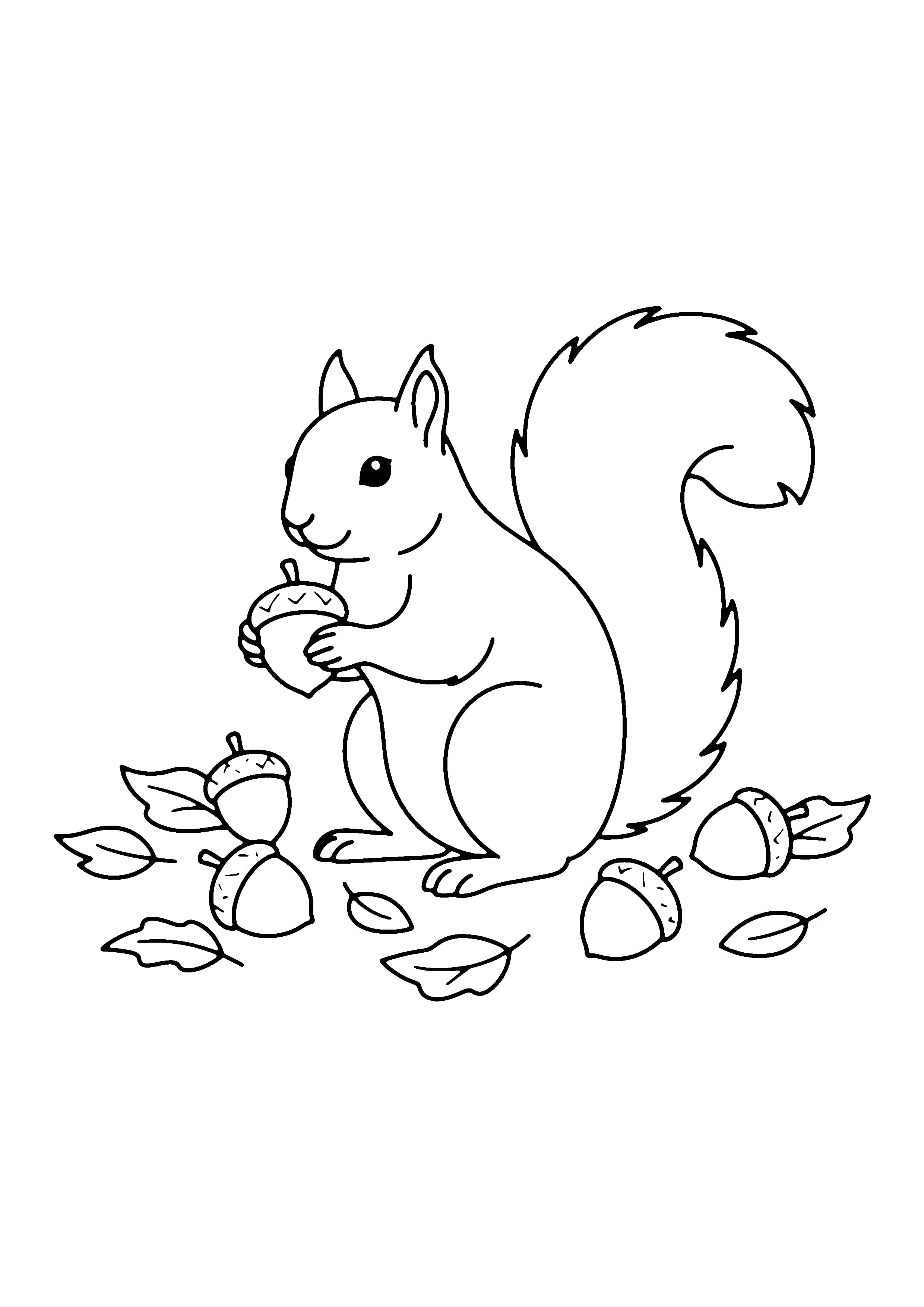 Printable hand-drawn Squirrel Gathering Acorns coloring page