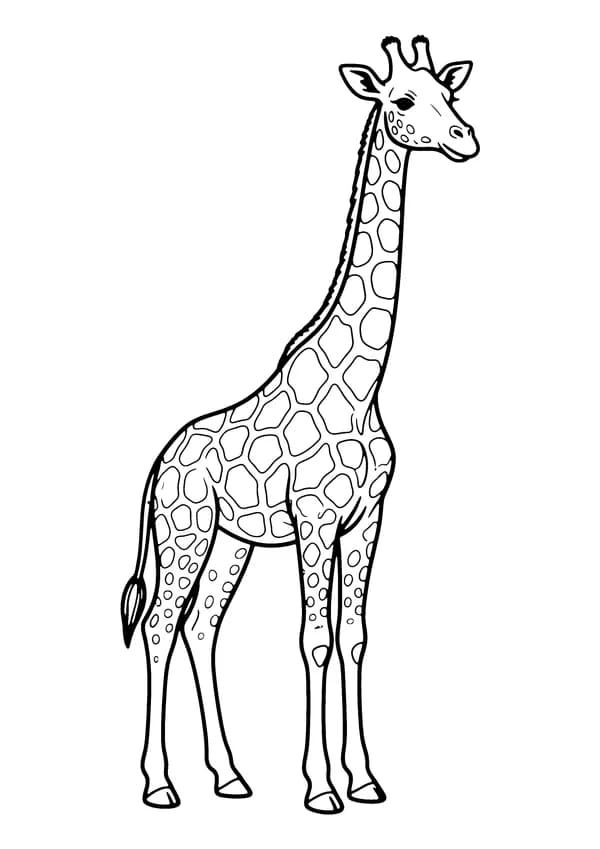 Printable hand-drawn Standing Giraffe coloring page