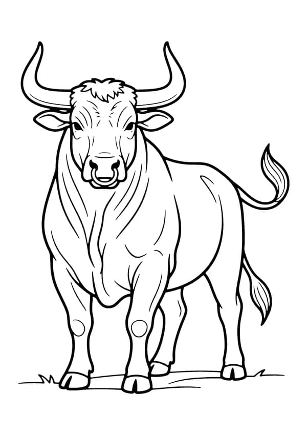 Printable hand-drawn Sturdy Bull coloring page