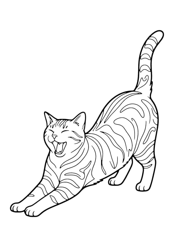 Printable hand-drawn Tabby Cat Stretching coloring page