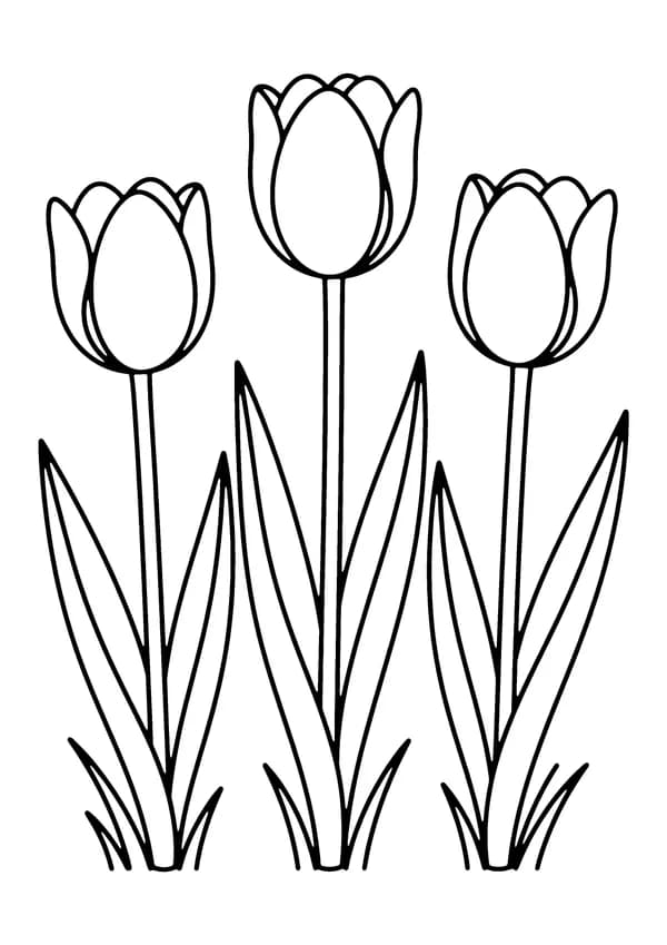 Printable hand-drawn Three Garden Tulips coloring page