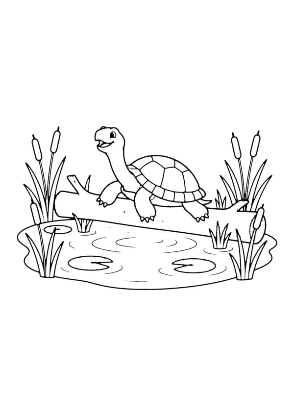 Printable hand-drawn Turtle on a Log coloring page
