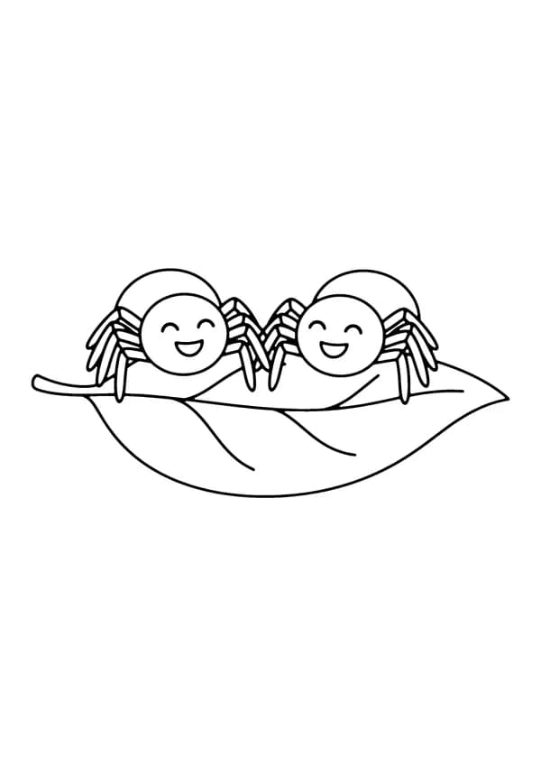 Printable hand-drawn Two Spider Friends coloring page