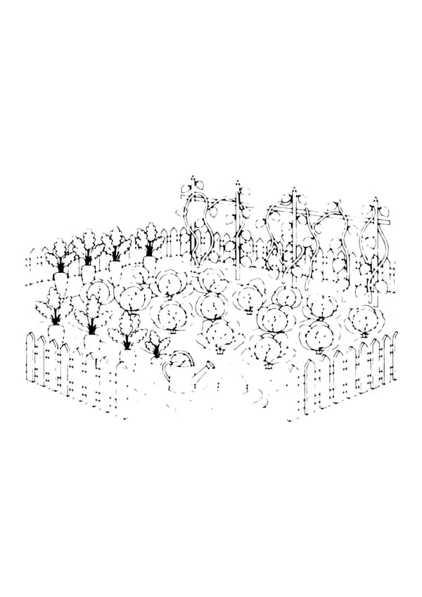 Printable hand-drawn Vegetable Garden coloring page
