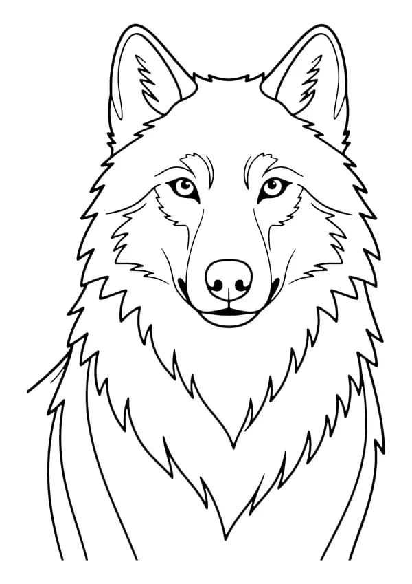 Printable hand-drawn Wolf Face Close-Up coloring page