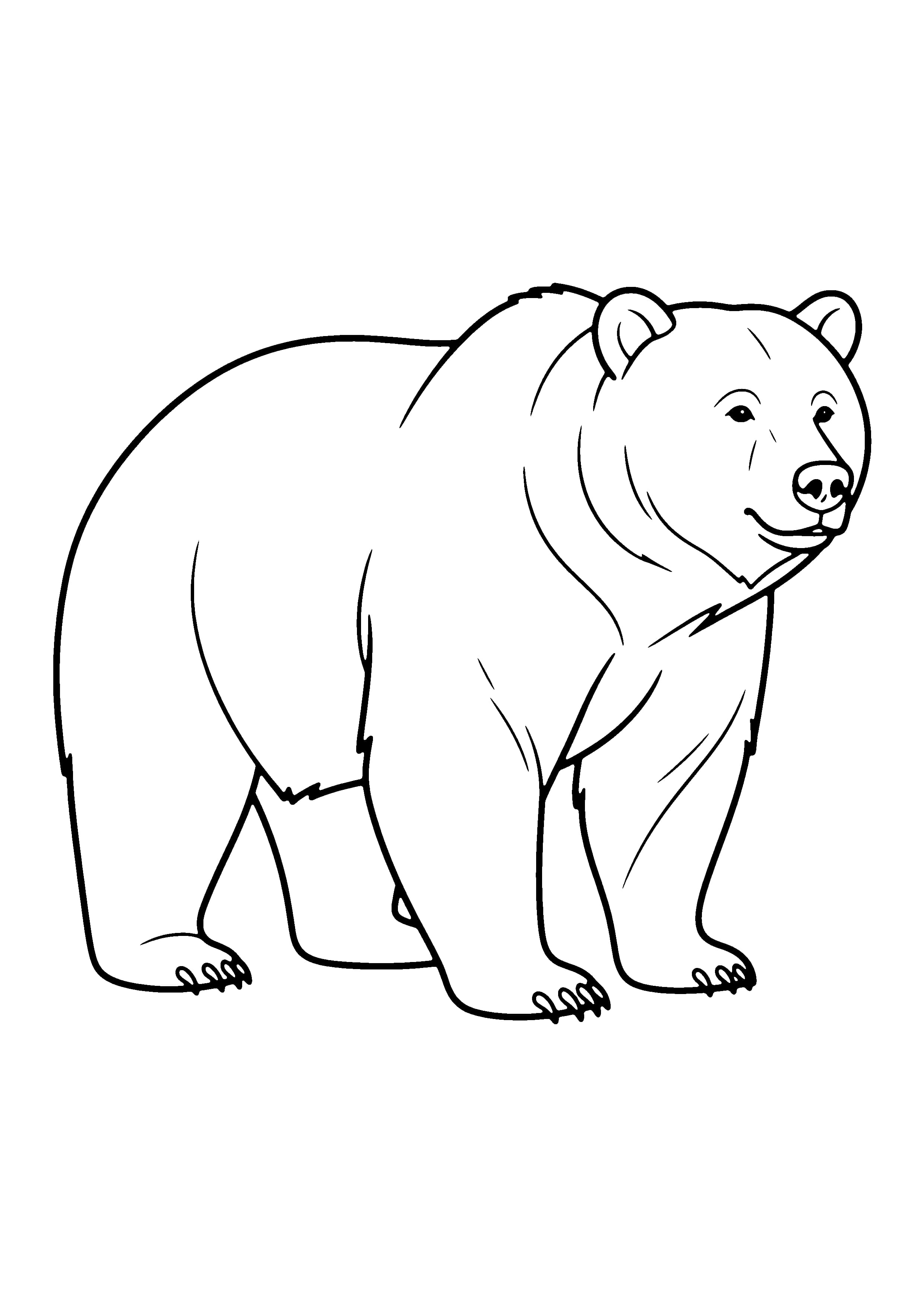 Printable hand-drawn Brown Grizzly Bear coloring page
