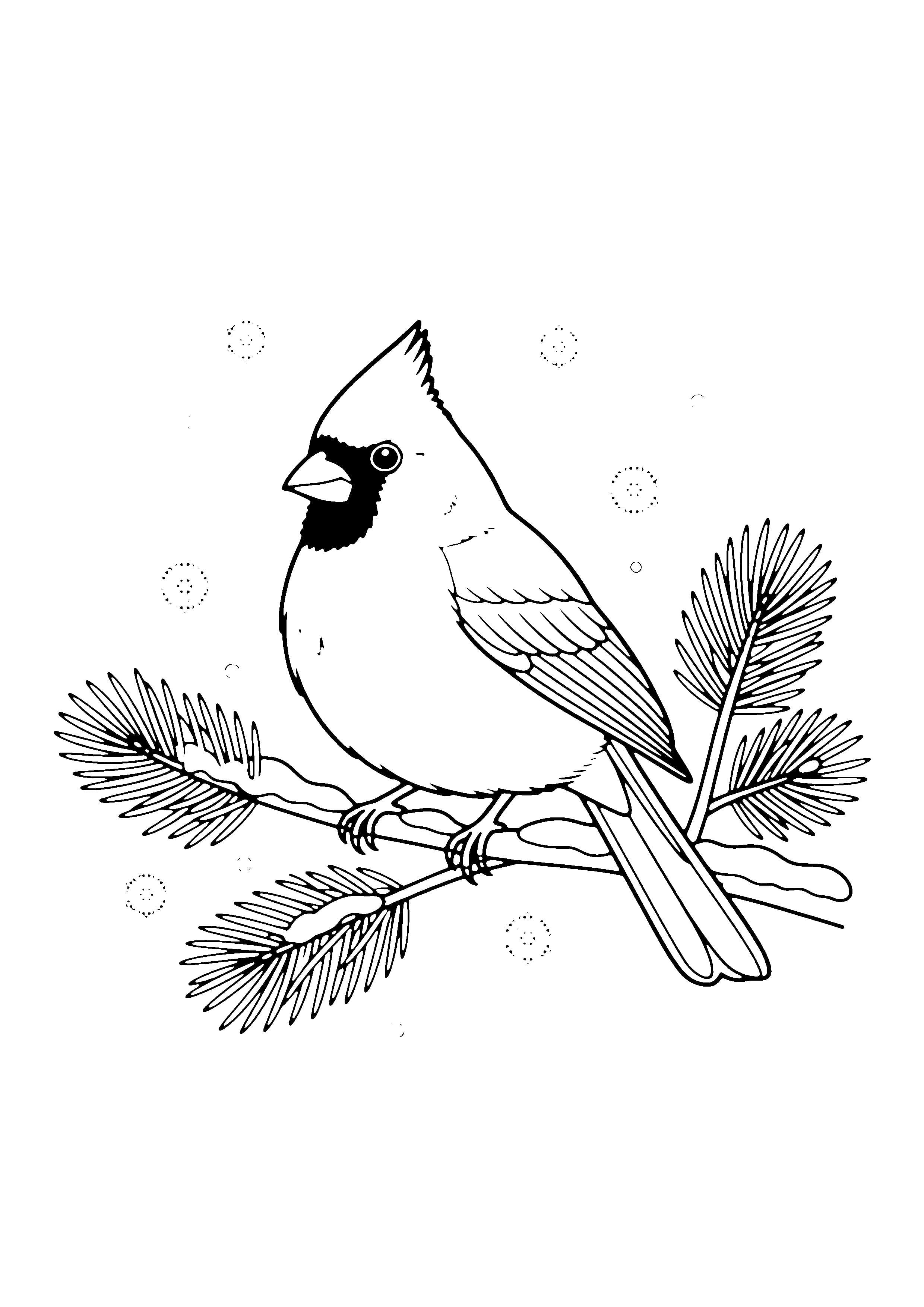 Printable hand-drawn Cardinal in Winter coloring page