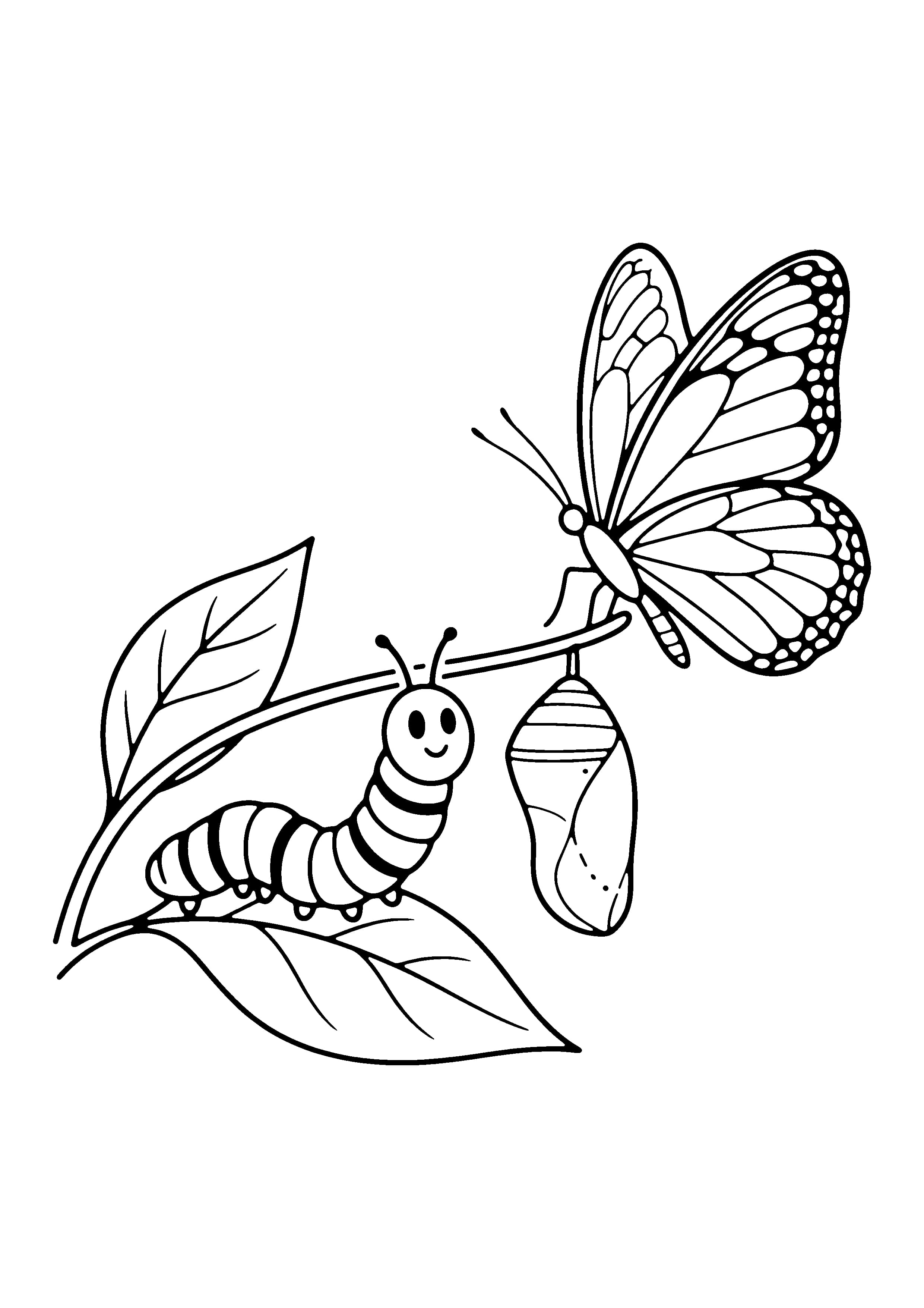Printable hand-drawn Caterpillar to Butterfly coloring page