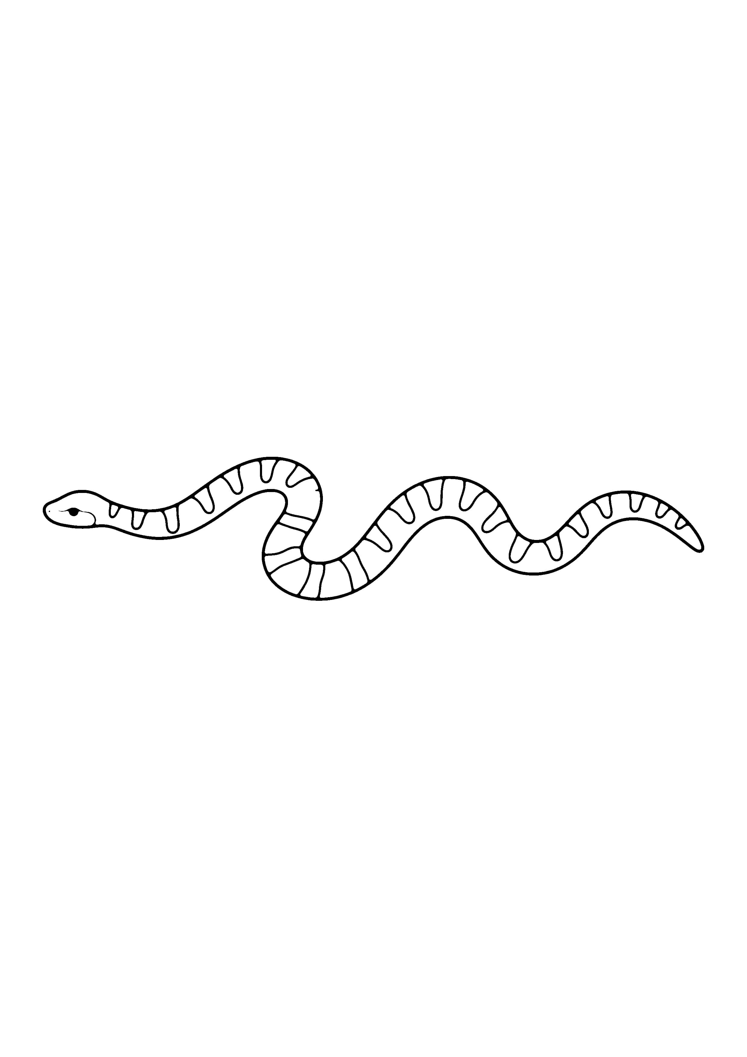Printable hand-drawn Coral Snake Stripes coloring page