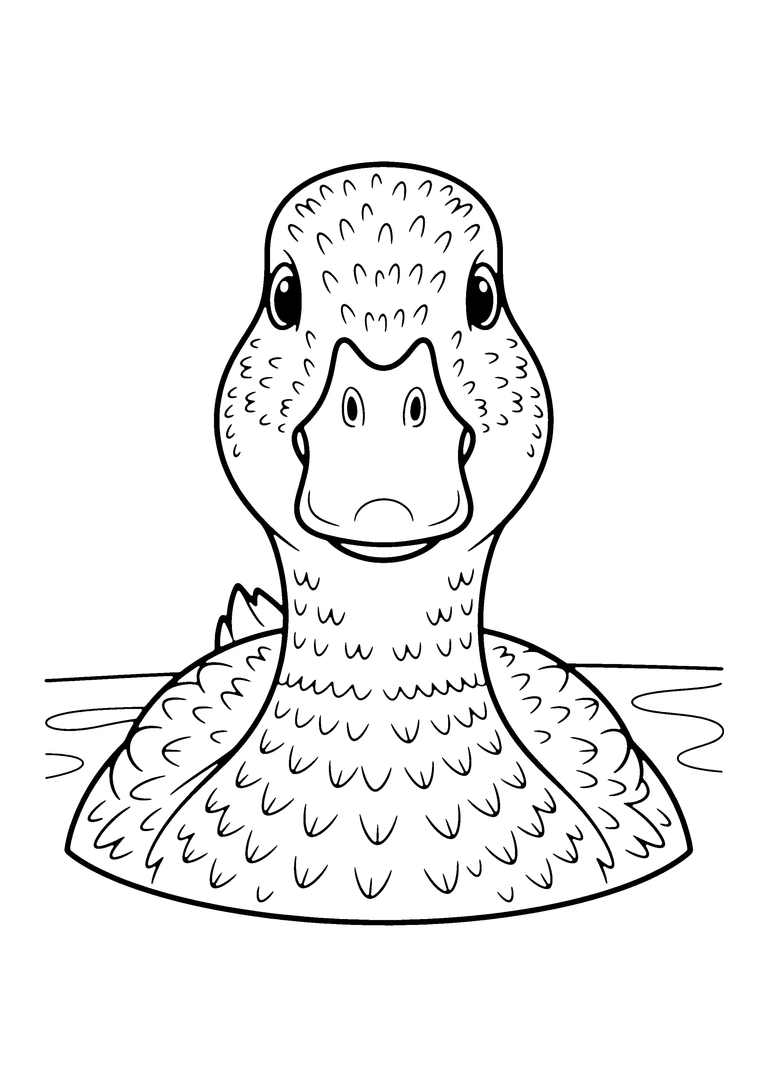 Printable hand-drawn Duck Close-Up Portrait coloring page