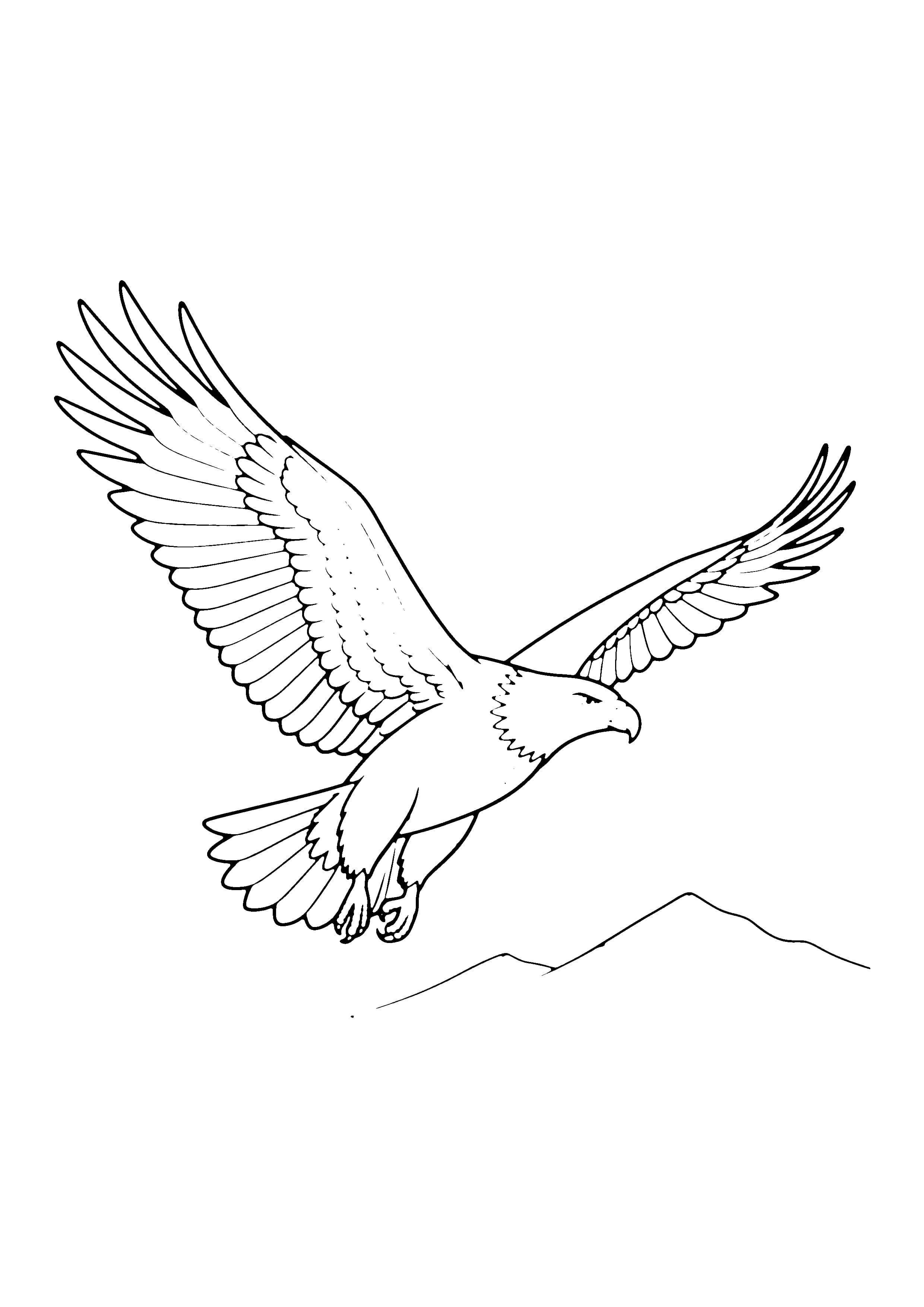 Printable hand-drawn Eagle Soaring coloring page