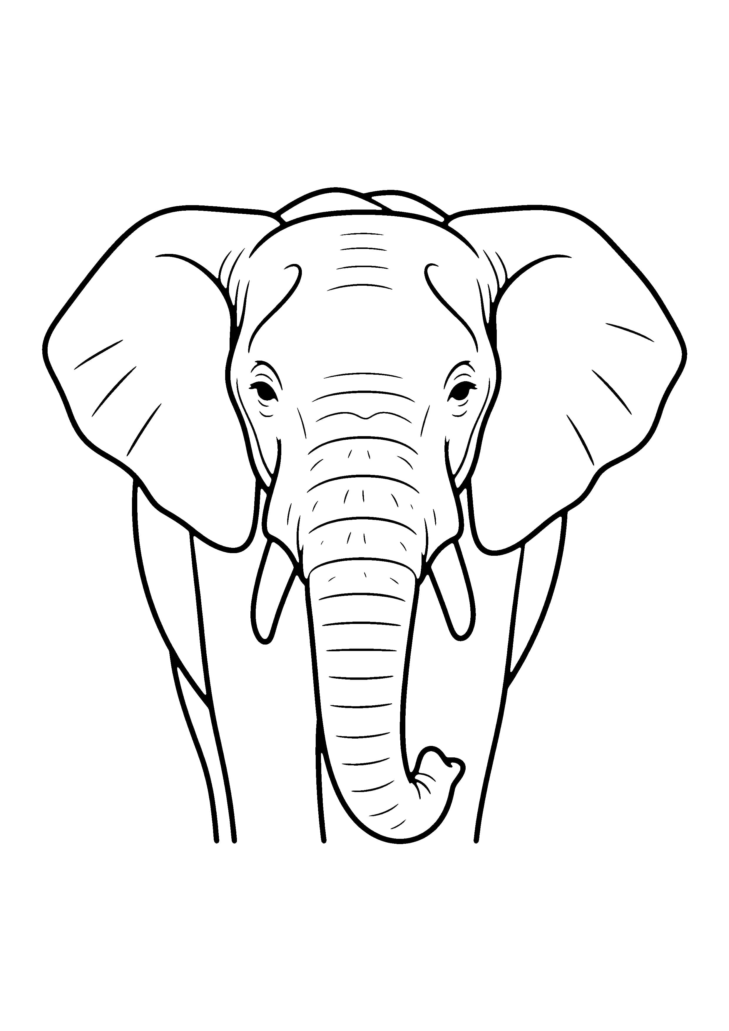 Printable hand-drawn Elephant Portrait coloring page