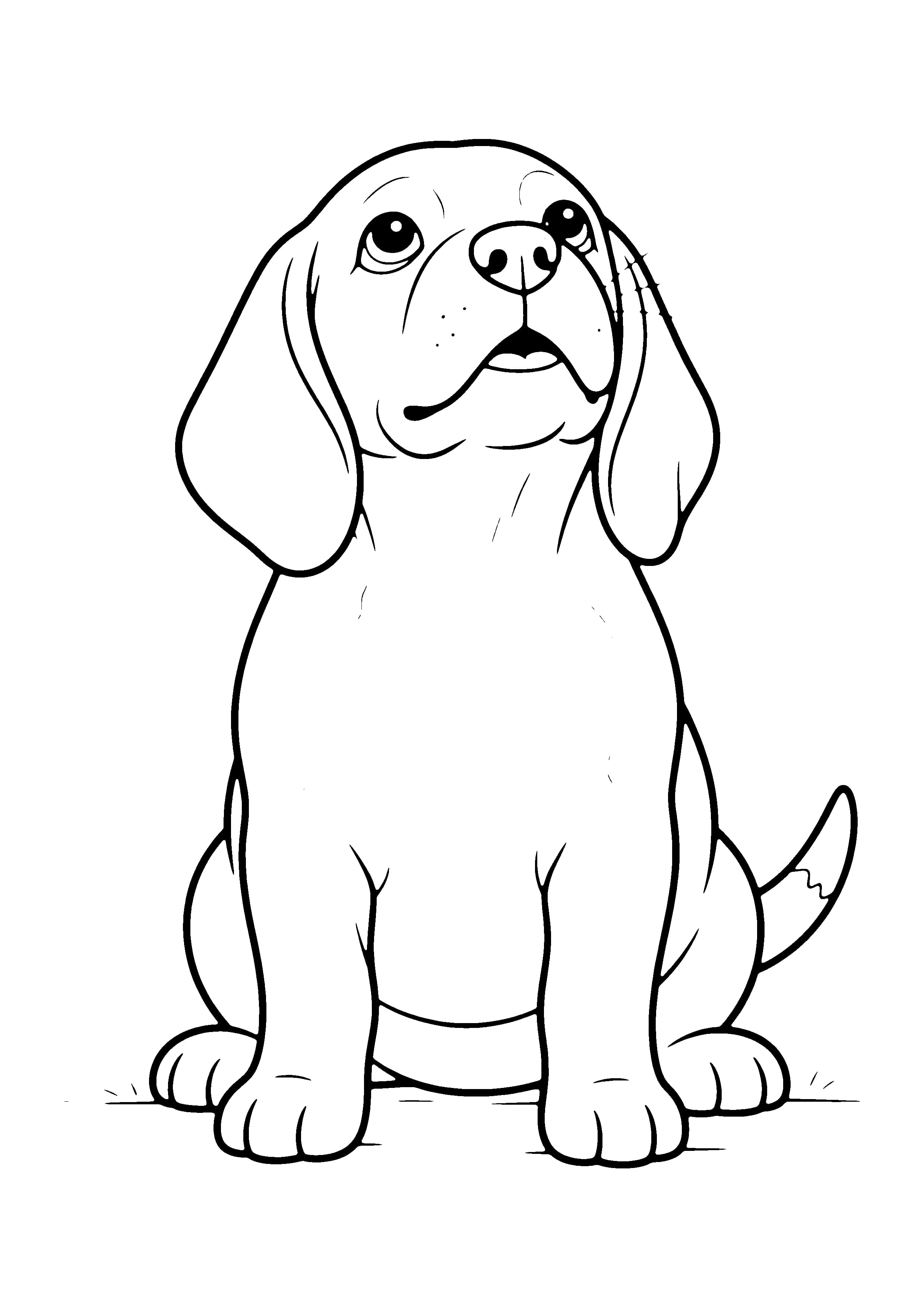 Printable hand-drawn Floppy-Eared Beagle Pup coloring page