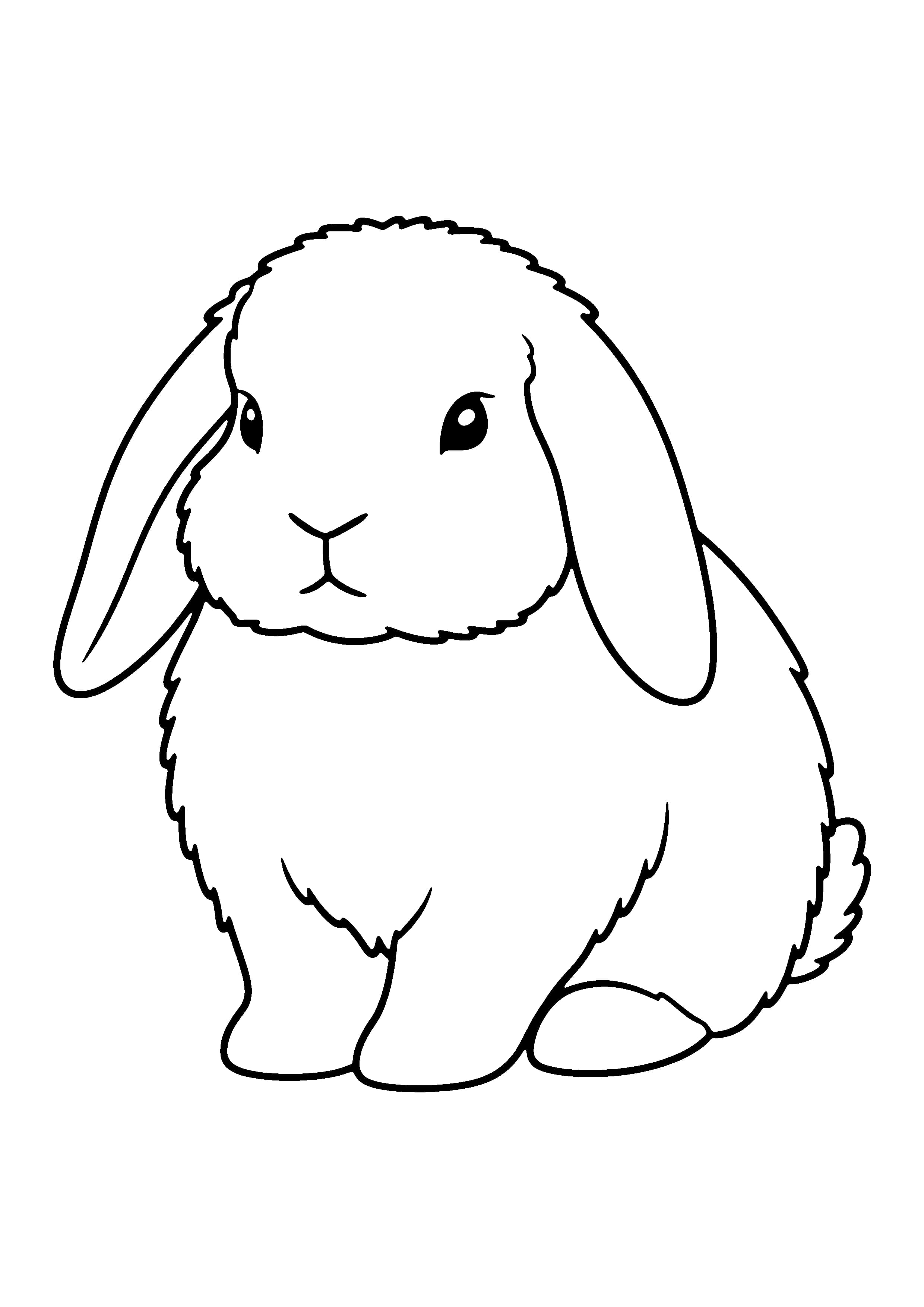 Printable hand-drawn Floppy-Eared Lop Bunny coloring page