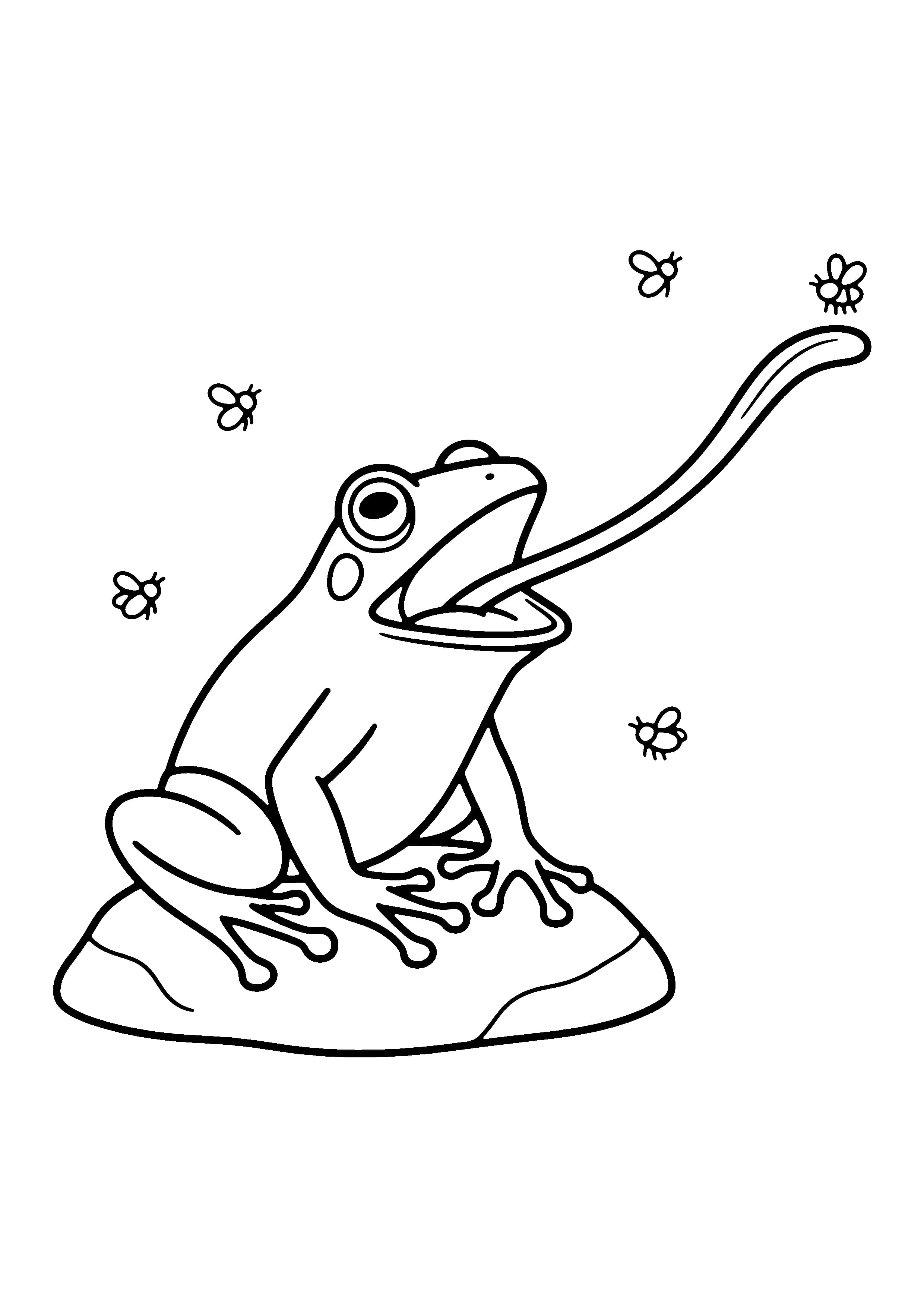 Printable hand-drawn Frog Catching a Fly coloring page