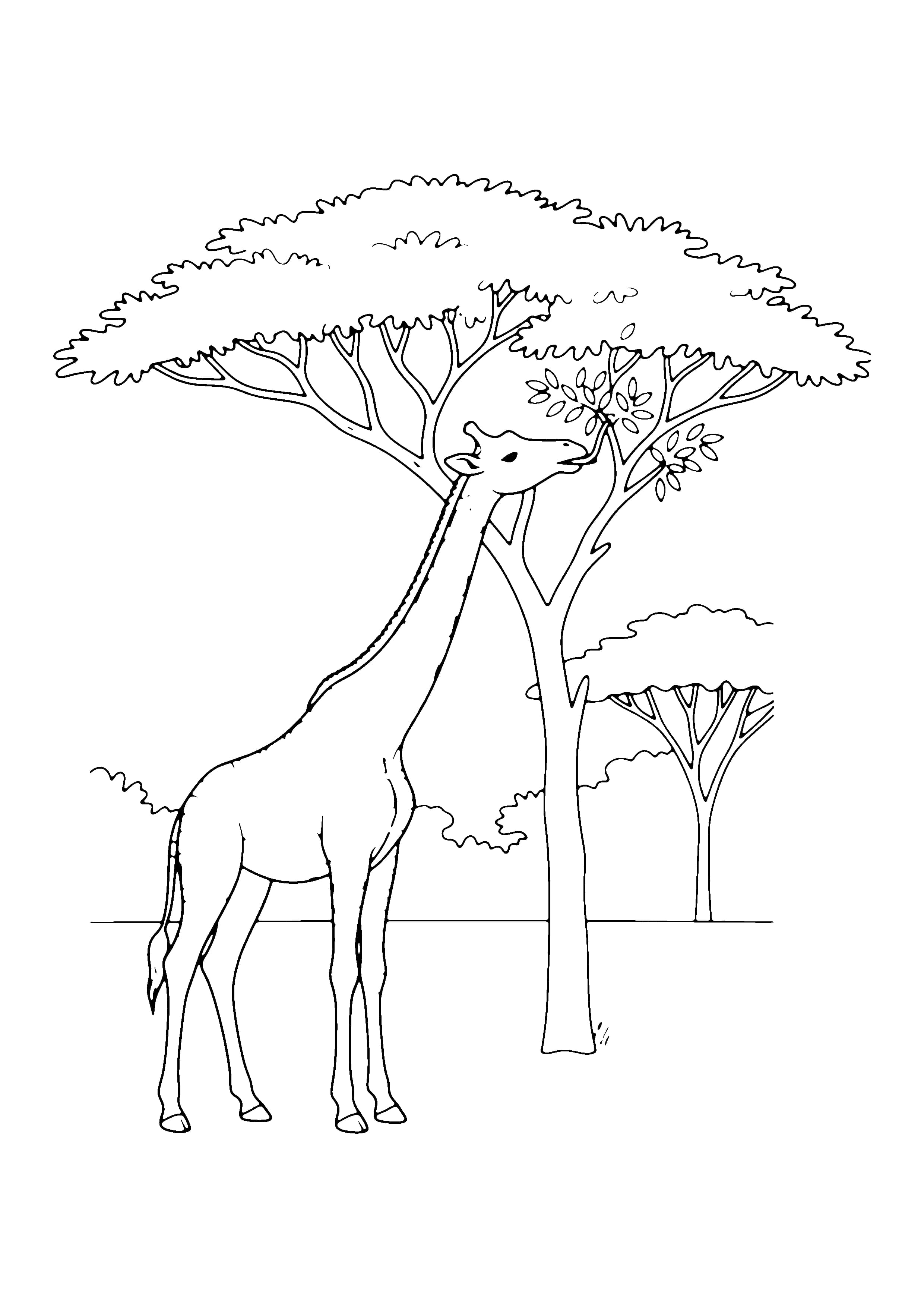 Printable hand-drawn Giraffe Eating Leaves coloring page