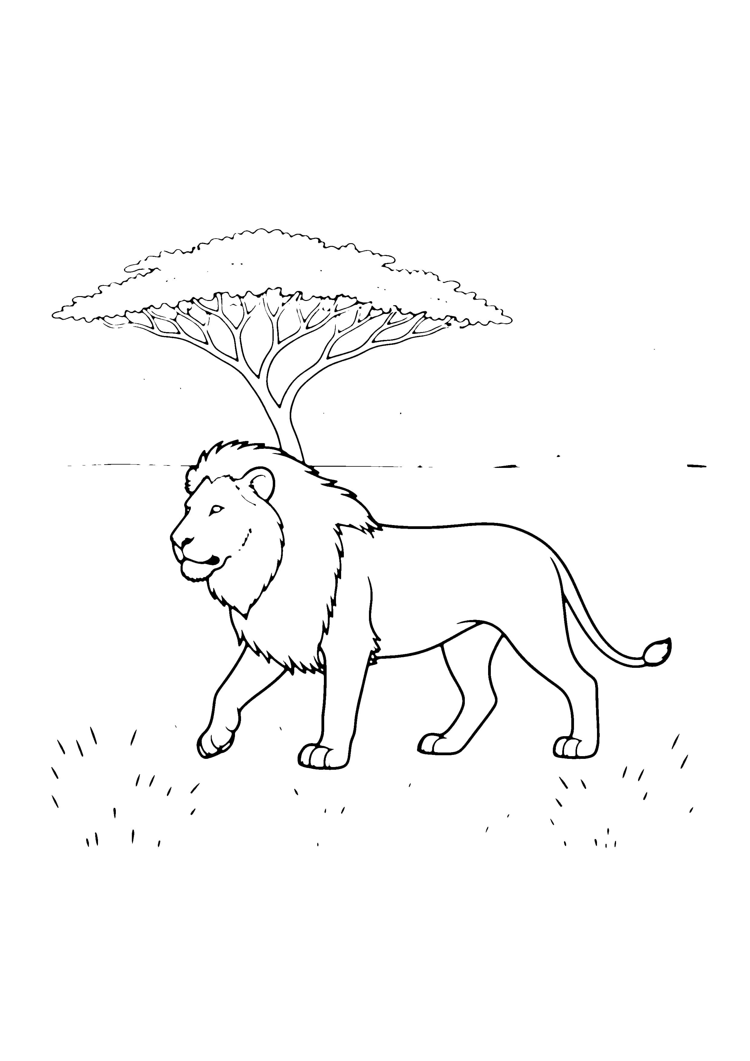 Printable hand-drawn Lion on the Savanna coloring page